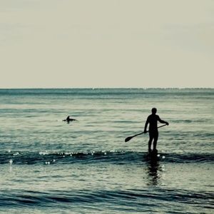 Surf The Earth Surf Shop!